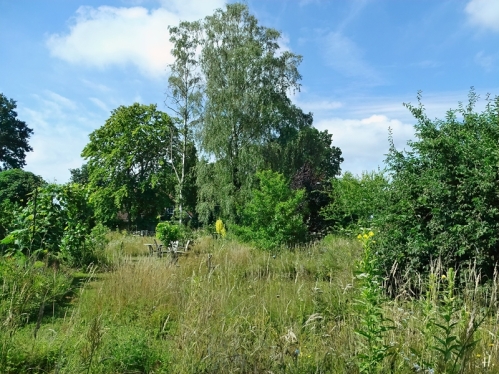 2021-07-05 LüchowSss Garten Blick über die Wieseninseln mit Birken