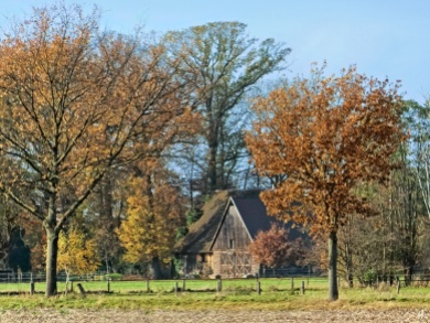 2021-11-09 b.Lüchow Dorf Jeetzel (1)