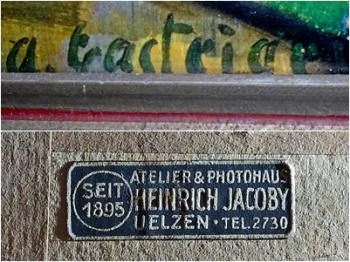 2021-11-16 LüchowSss zuhause Weihnachtsstern Signatur + Atelier&Photohaus-Aufkleber Heinrich Jacoby (1x2)